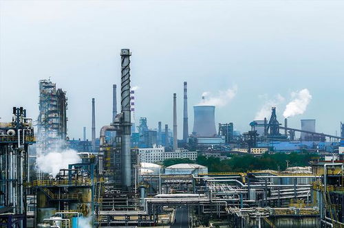 石油化工建设工程造价控制管理的工程管理服务简析